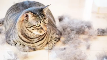 HOROR SA DLAKAMA! Tokom linjanja odeća strada – ali ovo rešava PROBLEM ODMAH