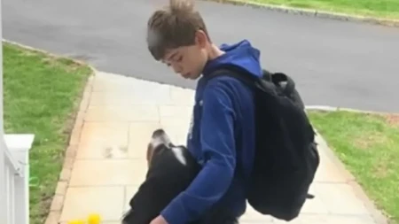 DIRLJIV SNIMAK KOJI JE ZALUDEO MREŽE! Zagrljaj dečaka i psa rasplakao milione! (VIDEO)