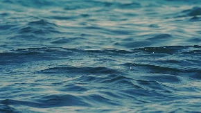 STVORENJE JE ODJEDNOM IZRONILO IZ DUBINA Taksista u poznatom turističkom mestu snimio prizor od kojeg ćete se slediti 