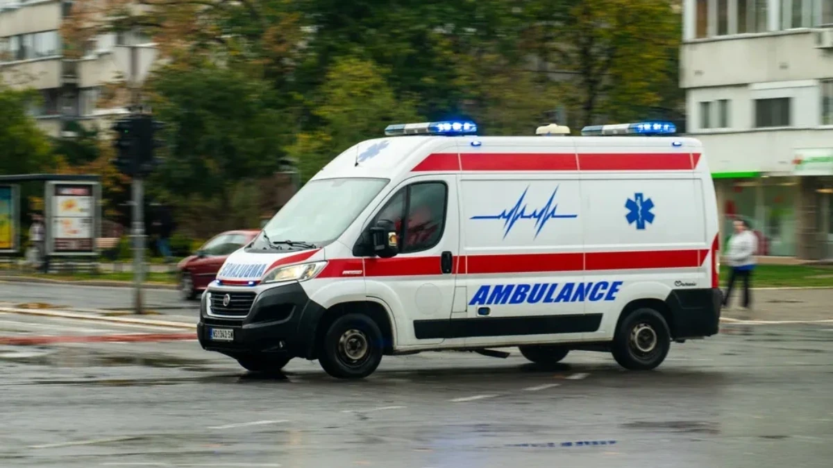 STRAŠNO! MLADIĆA (22) UBILI MEDVEDI U BEOGRADU Neviđena tragedija... DETALJI LEDE KRV U ŽILAMA 