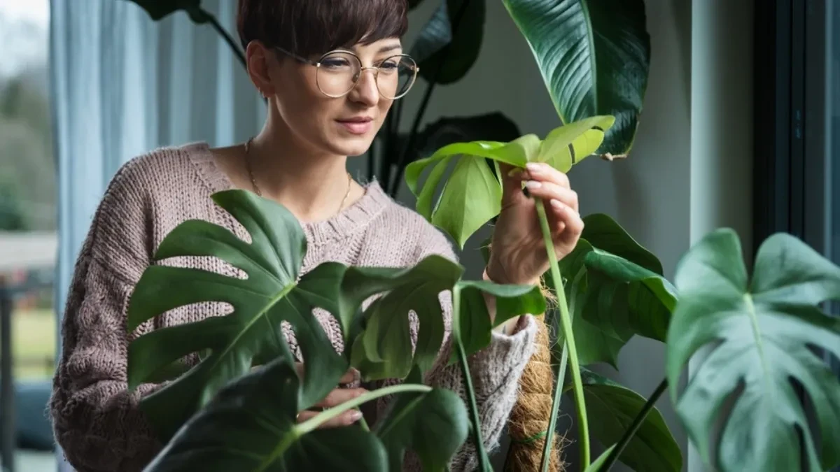 Kako da cveće cveta kao iz vode: 5 tajnih saveta stručnjaka