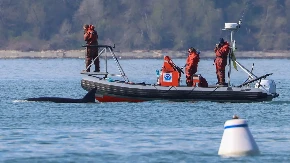 SPASAVANJE KITA DIGLO NEMAČKU NA NOGE Milioneri finansiraju akciju, cela zemlja gleda šta će biti sa Timijem