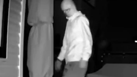 JEZIVA DRAMA U 2 UJUTRU! Postavila kameru zbog rakuna - ono što je otkrila LEDI KRV U ŽILAMA