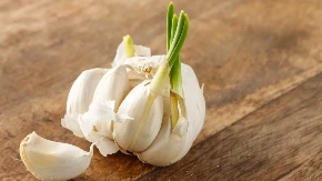 SVI PRAVE ISTU GREŠKU! Proklijali beli luk NIJE za bacanje – evo zašto!