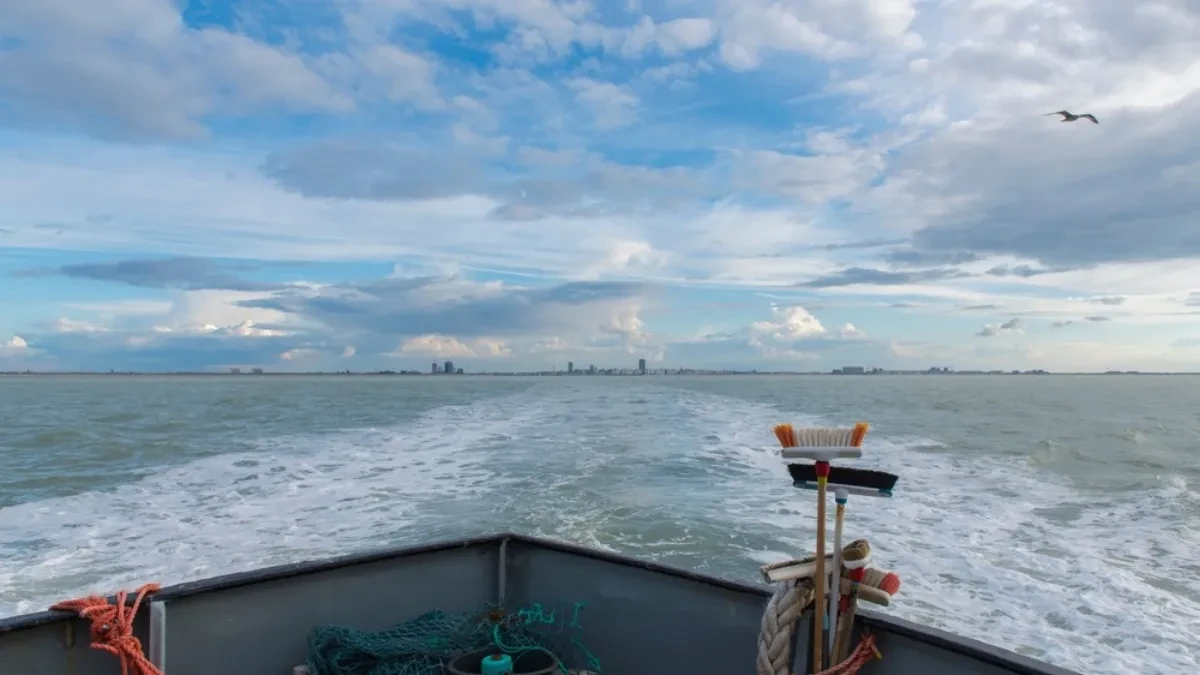 NEVEROVATAN PODUHVAT NAUČNIKA 15 miliona ostriga je bačeno u severno more - evo zbog čega