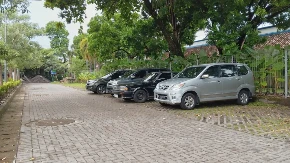 JESTE HLADOVINA, ALI IZBEGAVAJTE PARKIRANJE ISPOD DRVETA Postoji dobar razlog za to