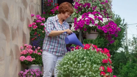 Zovu ga crno zlato za cveće! Buja kao za opkladu kad se zalije ovom mešavinom