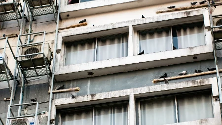 Beže od ovoga kao đavo od krsta, neće se više vraćati: Kako oterati golubove sa terase i simsa?