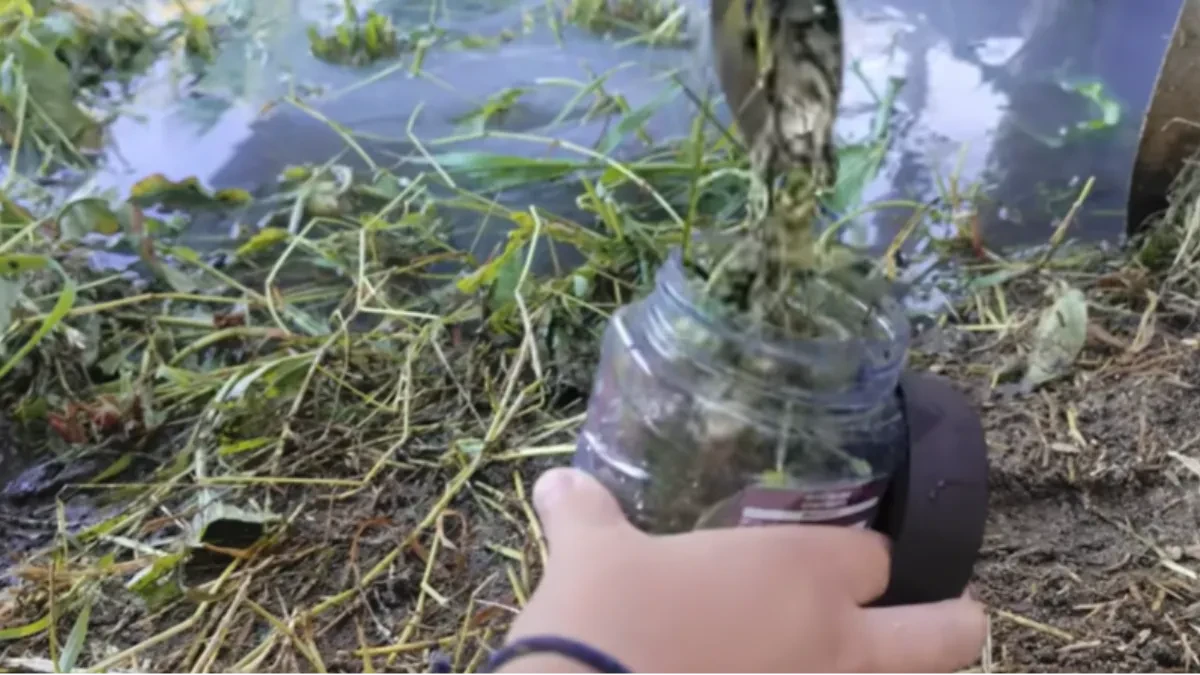 DA NE POVERUJEŠ Sipao vodu iz kanalizacije u teglu, a posle nekoliko nedelja je unutra zatekao OVO (VIDEO)