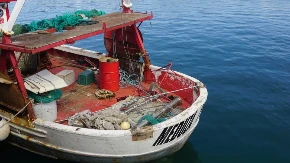 GRDOSIJA OD 4 METRA IZNENADILA RIBARE NA JADRANU Kada su je izvukli iz mreže usledio je pravi ŠOK