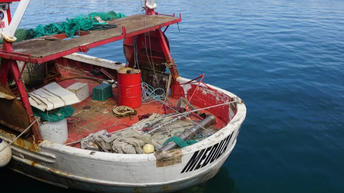 GRDOSIJA OD 4 METRA IZNENADILA RIBARE NA JADRANU Kada su je izvukli iz mreže usledio je pravi ŠOK