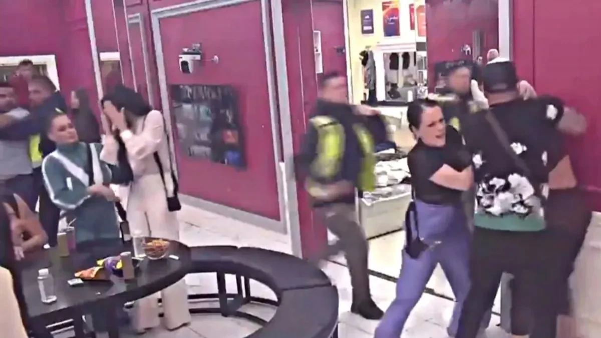 PLJUNUO ASMINA, ON GA SRUŠIO NA POD, PA MAJA ISPESNIČILA Skandal u Eliti, ovakva tuča se ne pamti! (VIDEO) 