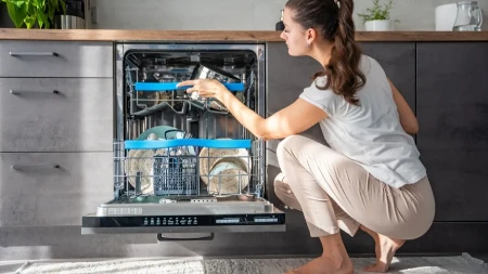 DVA SASTOJKA OD 100 DINARA REŠAVAJU PROBLEM Rešite se kamenca u mašini za sudove na prirodan način