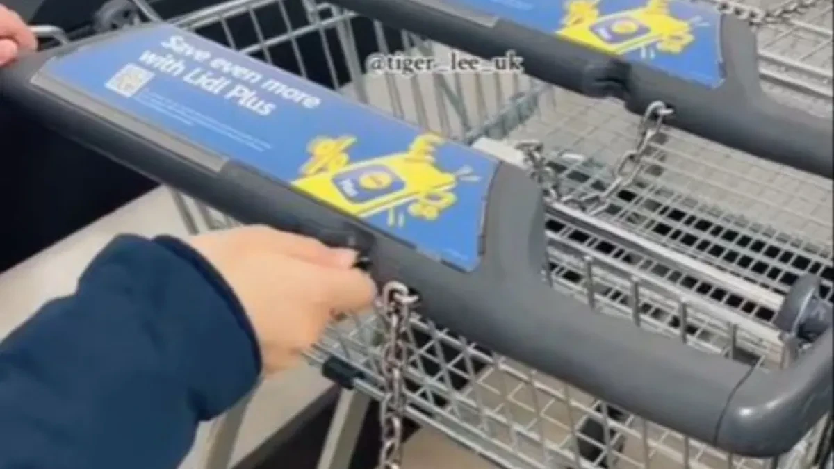 UMESTO ŠTO PRETURATE PO DŽEPOVIMA Evo kako uzeti kolica u prodavnici, a nemate novčić ili žeton kod sebe