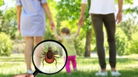 Posle kiše su najagresivniji: Ako vidite ovo na koži, nipošto ne vadite krpelja sami!