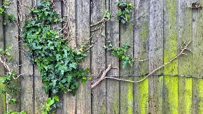 REŠENJE JE PRIRODNO I VEĆ GA IMATE U KUHINJI Očistite drvenu ogradu za tren oka bez skupih sredstava