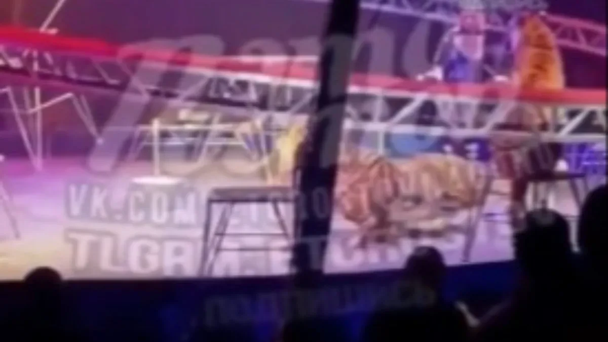 STRAVA I UŽAS U CIRKUSU Divlja zver preskočila ogradu i krenula da KIDIŠE na publiku - ljudi BEŽALI U PANICI