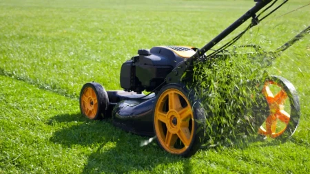 PRAVITE ŠTETU, A NISTE NI SVESNI Ne kosite travu u voćnjacima dok traje cvetanje - postoji dobar razlog za to