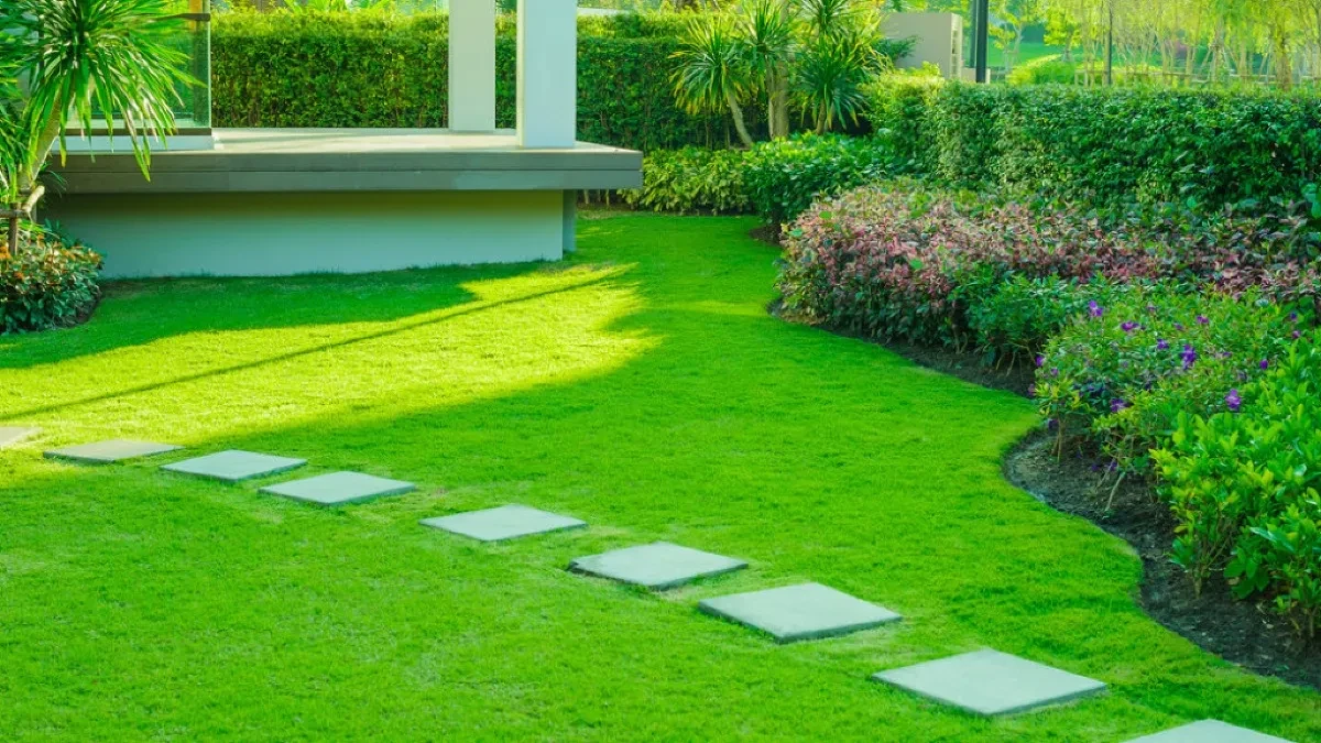 Redak biznis u Srbiji, a vrlo isplativ: Plaćaju i po 4 evra po kvadratu