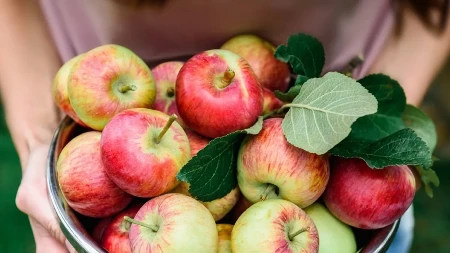 CRVENE, ZELENE ILI ŽUTE? Evo koje jabuke su NAJBOLJE za vaš organizam