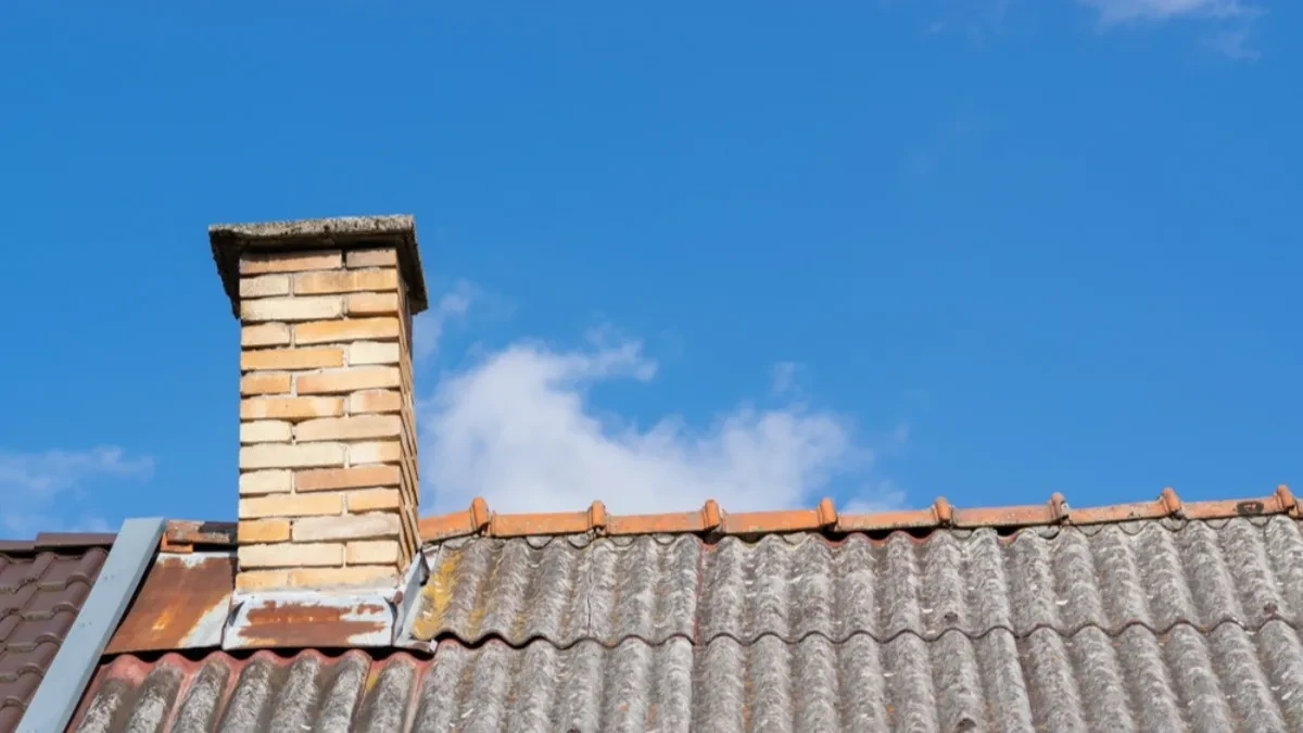 ČULI SU ČUDNE ZVUKOVE IZA KAMINA I POMISLILI SU DA JE NEKA ŽIVOTINJA U NJEMU A onda su zavirili unutra i ZANEMELI od šoka