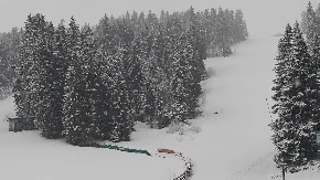 NULA STEPENI, VEJE KAO USRED ZIME! Ovaj deo Srbije osvanuo pod snegom, evo gde će se još zabeleti (FOTO)