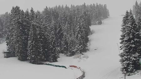 NULA STEPENI, VEJE KAO USRED ZIME! Ovaj deo Srbije osvanuo pod snegom, evo gde će još zabeleti (FOTO)