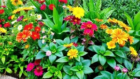 ŠTO PRE U APRILU STAVITE VUNU U BAŠTU Cvetaće i bujati kao iz kataloga