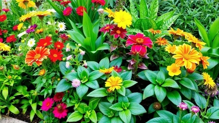 ŠTO PRE U APRILU STAVITE VUNU U BAŠTU Cvetaće i bujati kao iz kataloga