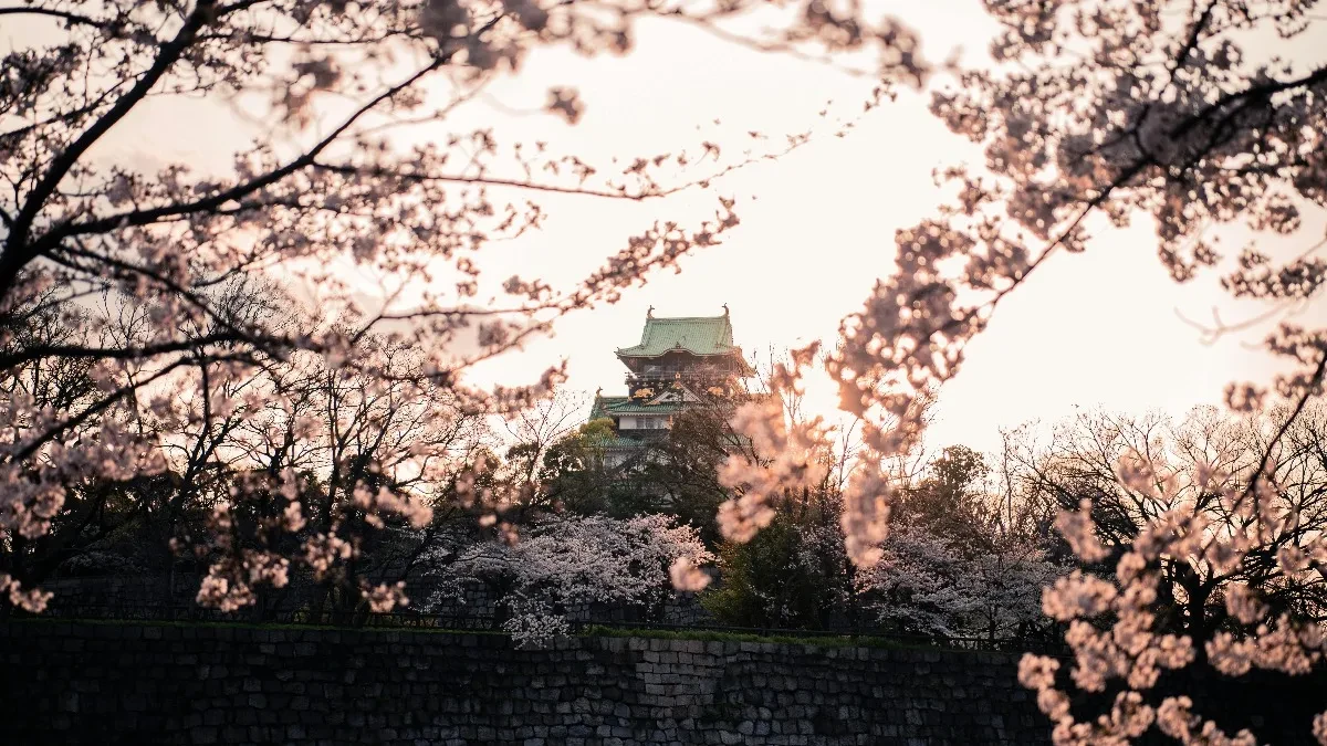 OVAKAV PROLEĆNI PEJZAŽ JOŠ NISTE VIDELI Lepota cvetova trešnje oduzima dah - 30.000 stabala prekriva planinu