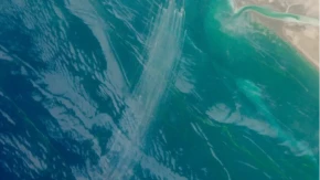 UDAR KOJI PARALIŠE! “Flota komaraca” napada i nestaje – niko ne može da ih zaustavi!