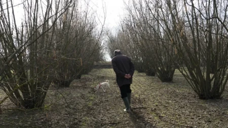 Možda vam raste ispod nogu, a niste ni svesni: Ova retka gljiva vredi pravo bogatstvo