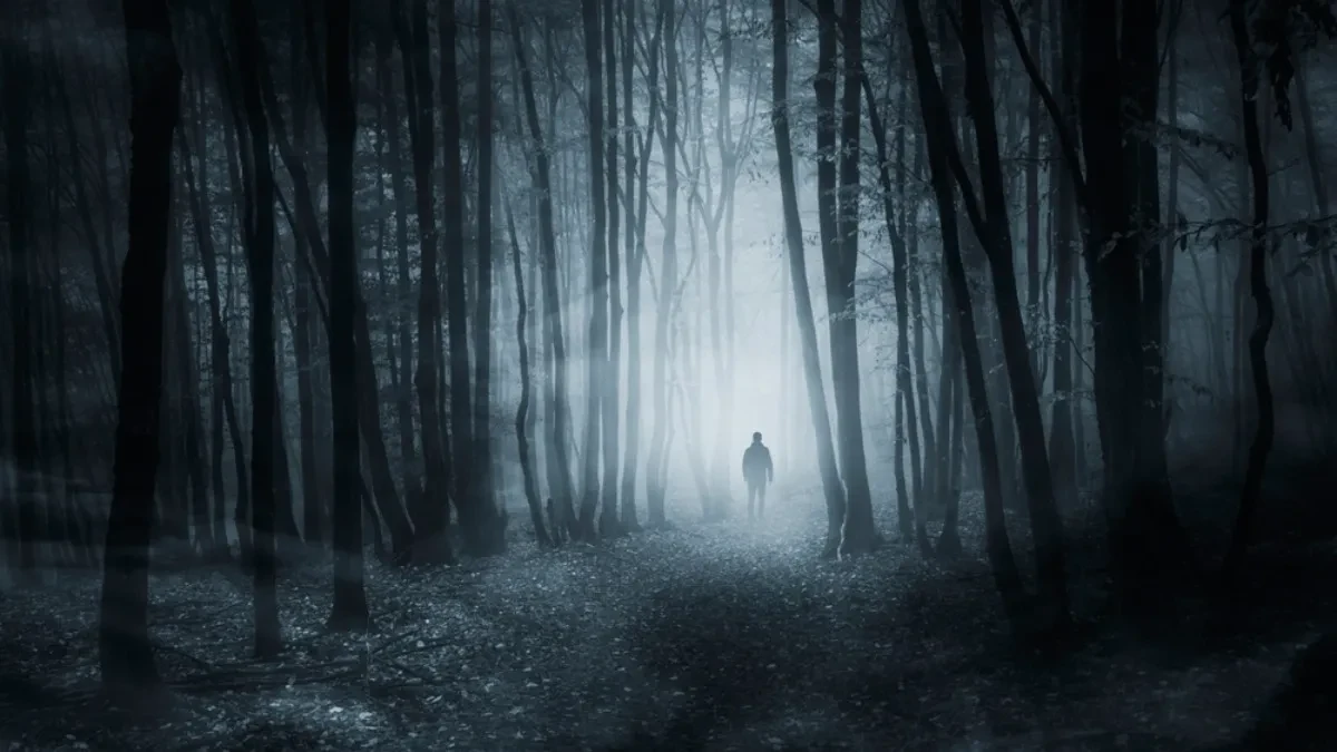 VEOMA TEŽAK PRIZOR: Pronašli tela male dece u šumi u Tenesiju