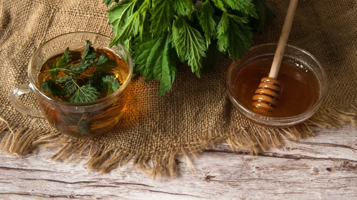 NEKOLIKO NAMIRNICA ČUDA ČINI ZA IMUNITET Napravite prirodni eliksir - evo kako 