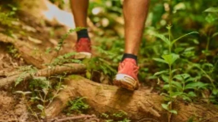 Univerexport nastavlja tradiciju podrške sportu i lokalnoj zajednici