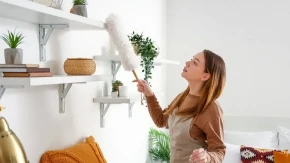 ZABORAVLJAMO 1 STVAR NA POLICAMA Mislite da je dovoljno prebrisati prašinu, ali važno je i ovo