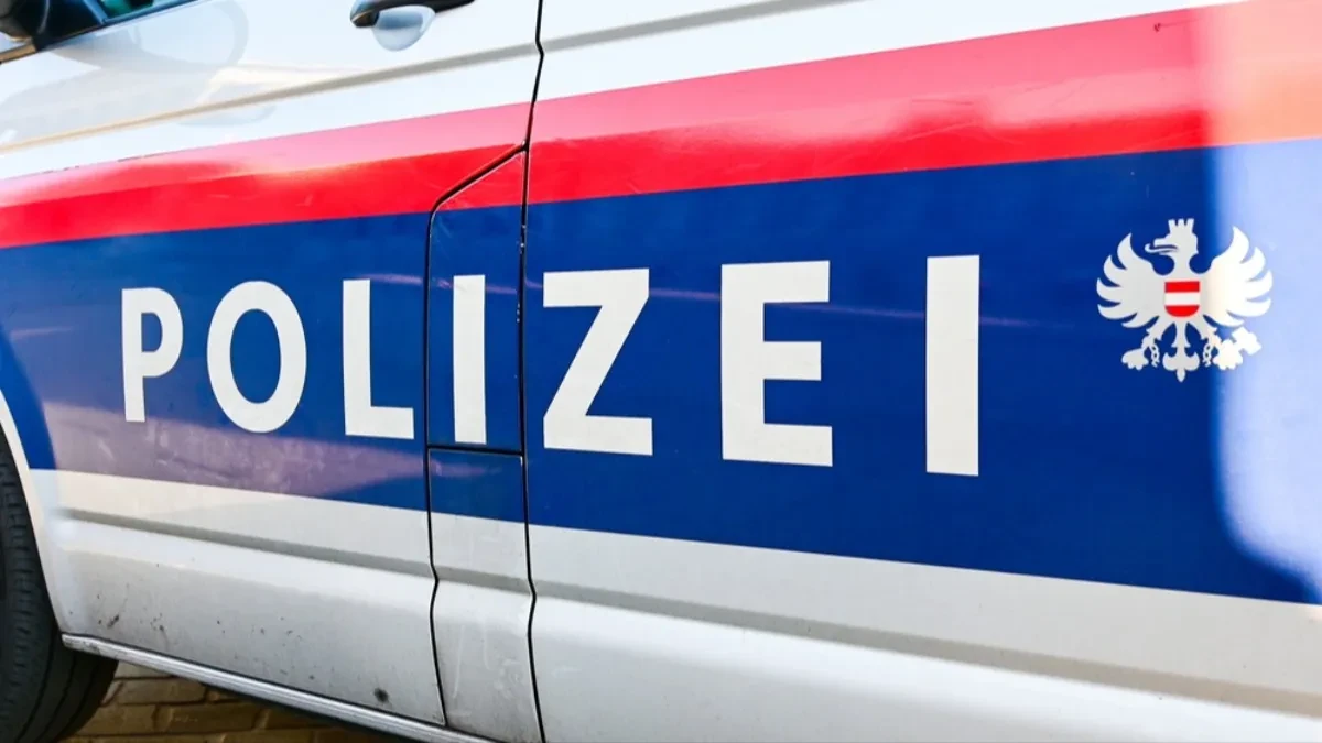 AUTOMOBIL SLETEO U DUNAV Poginula najmanje jedna osoba, mladić (19) skočio u reku da pomogne