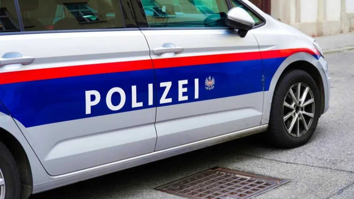 ČISTIO TOALETE, PA ZAVRŠIO PRED SUDOM Tereti se da je utajio 250.000 evra poreza