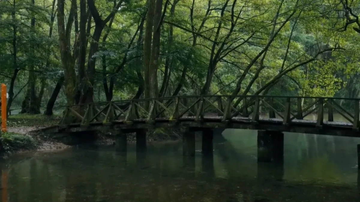 OVA DESTINACIJA JE MAGNET ZA TURISTE: Blizu je naše zemlje, a svi žele da je posete  