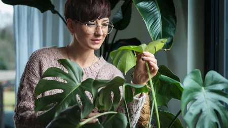  Svi je imamo, a retko ko zna da ovaj prah čini čuda u bašti. Samo jedna kašika i cveće buja, puževi beže, a zemlja se čisti! 