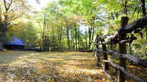 ISPLANIRAJTE NEZAVORAVAN PROVOD ZA 1. MAJ Ovo su najlepša izletišta u okolini Beograda 