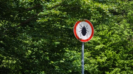 SA LEPIM VREMENOM STIŽU I KRPELJI! Evo kako da se sačuvate od ovih prenosnika raznih bolesti