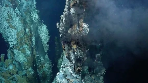 MISTERIOZNO "ZLATNO JAJE" NA DNU MORA! Naučnici prvo pomislili na vanzemaljce, a onda ih šokirala istina...