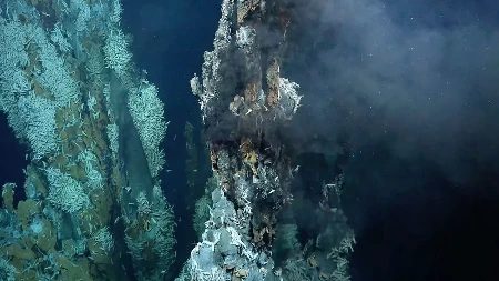 MISTERIOZNO "ZLATNO JAJE" NA DNU MORA! Naučnici prvo pomislili na vanzemaljce, a onda ih šokirala istina...