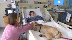 DETE U BOLNIČKOJ POSTELJI, PAS DOLAZI I...  ovaj snimak rasplakao je sve koji su ga videli (VIDEO)