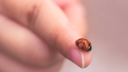 KADA BUBAMARA SLETI NA VAS, TO ZNAČI SAMO JEDNO Poruka je MOĆNA - iznenadićete se