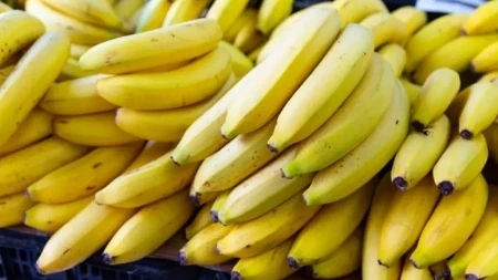 Za 7 dana istopi 5 kilograma: Jutarnja banana dijeta je hit, ne gladujete, a kilogrami se samo svlače