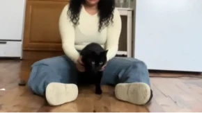 Crne mačke privlače udvarače, novac i sreću: A oduvek smo mislili da su uklete!