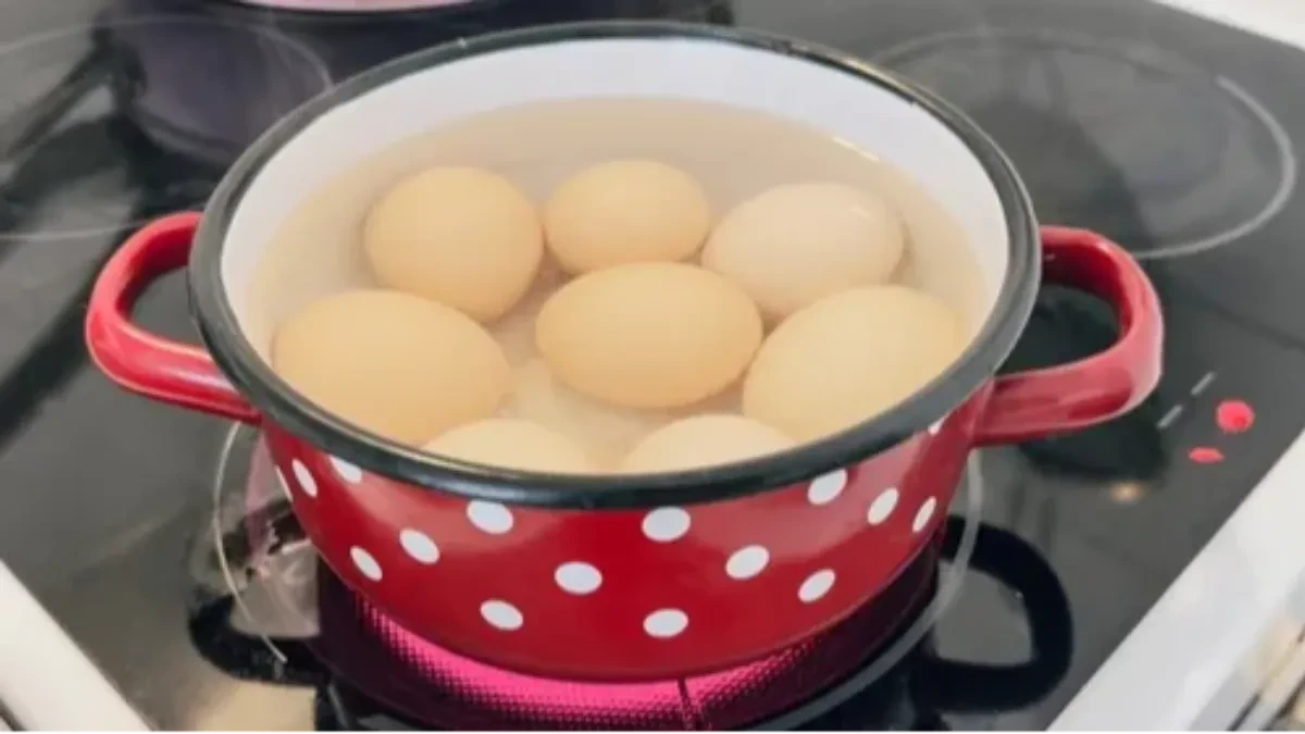 TRIK ISKUSNIH BAŠTOVANA Sačuvajte vodu u kojoj kuvate jaja, dragocena je za vaše biljke