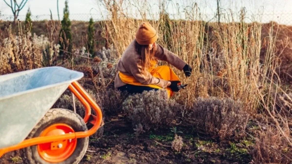 ISKUSNI BAŠTOVANI STAVLJAJU NOVINE U VRT Kad vidite zbog čega, i vi ćete uraditi isto 